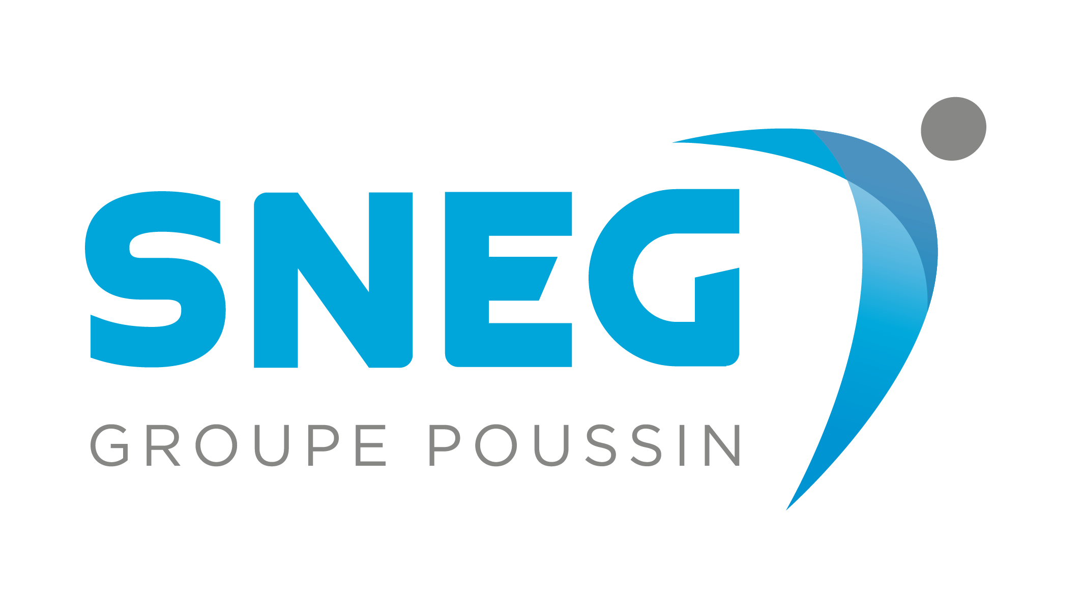 Logo SNEG