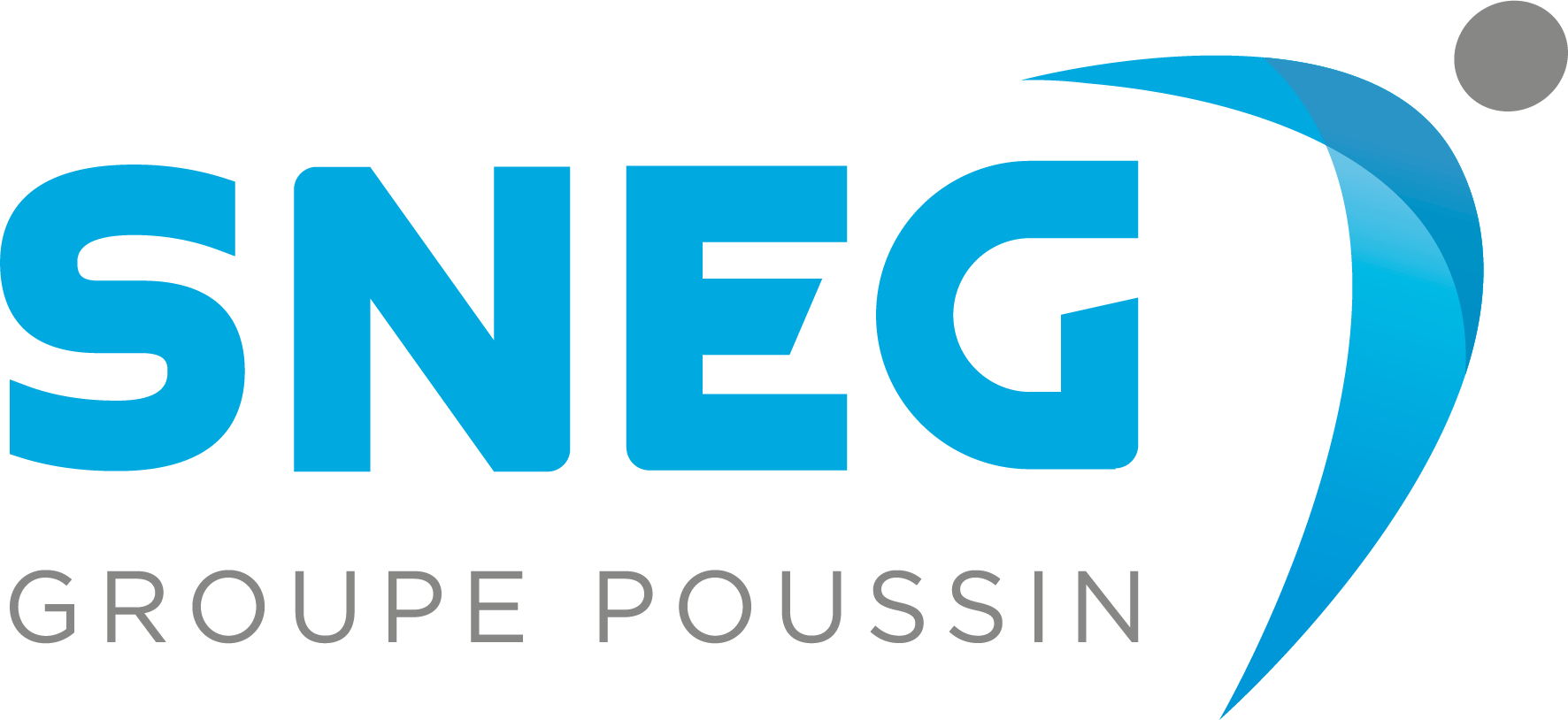 Logo SNEG